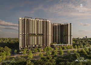 Orchard Hill Sycamore Bình Dương