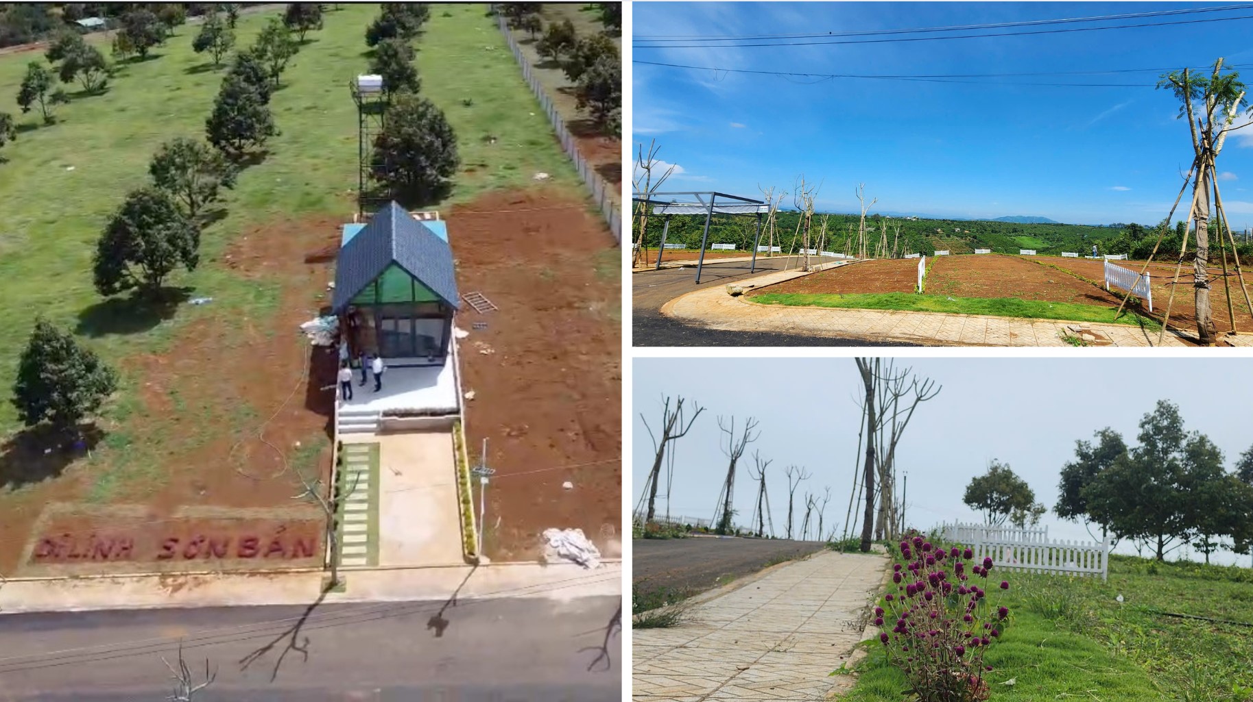 di-linh-son-ban-hinh-anh-thuc-te-2025-1