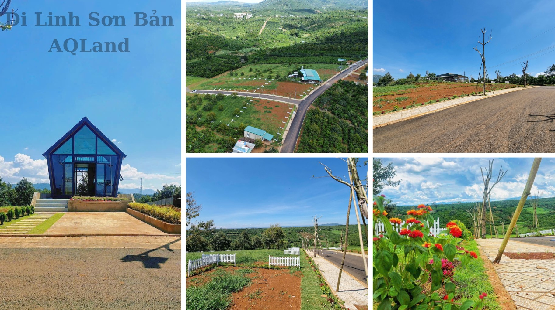 di-linh-son-ban-hinh-anh-thuc-te-2025