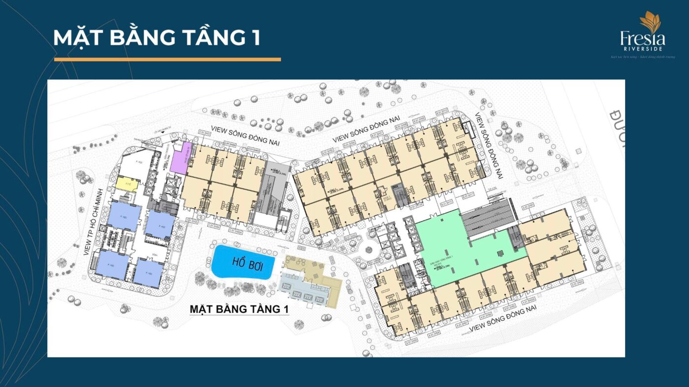 mat-bang-tang-1-fresia-riversdie