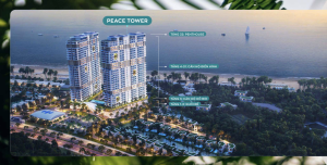 Chương Trình Cam kết Cho Thuê Khác Biệt - Maia Resort Hồ Tràm