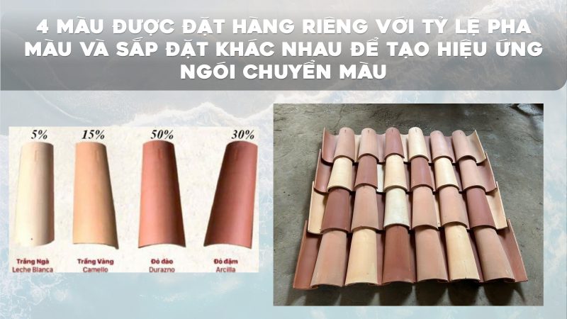 phong-cach-thiet-ke-va-ban-giao-blanca-city (8)