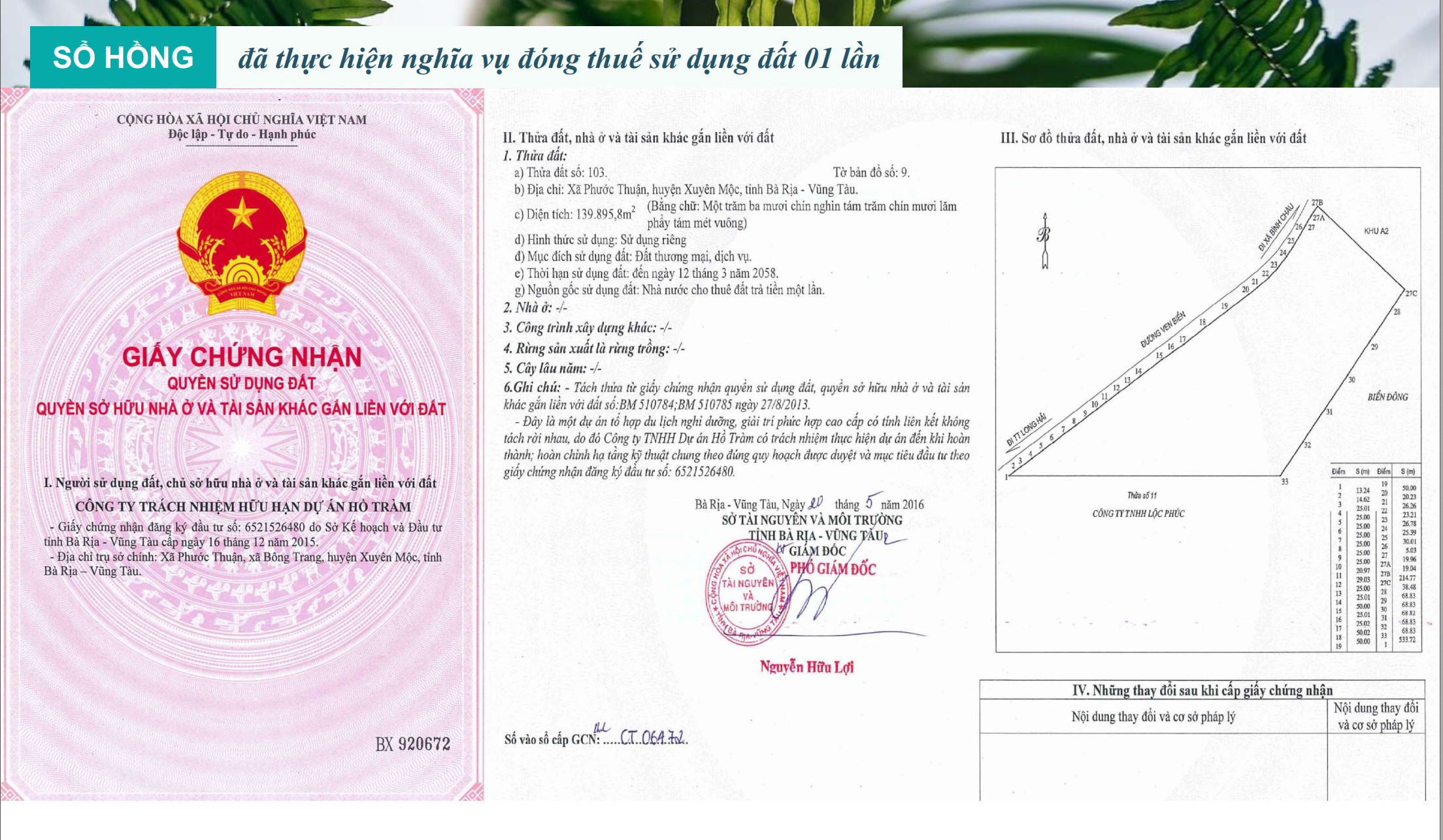 so-hong-maia-ho-tram