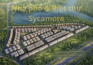 Nhà phố - Biệt thự Sycamore Bình Dương