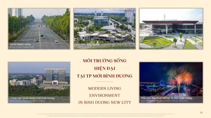 vi-sao-binh-duong-thu-hut-nhieu-khach-hang-quan-tam-dau-tu-2